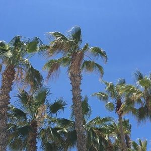 Meet your Posher, Lindsey